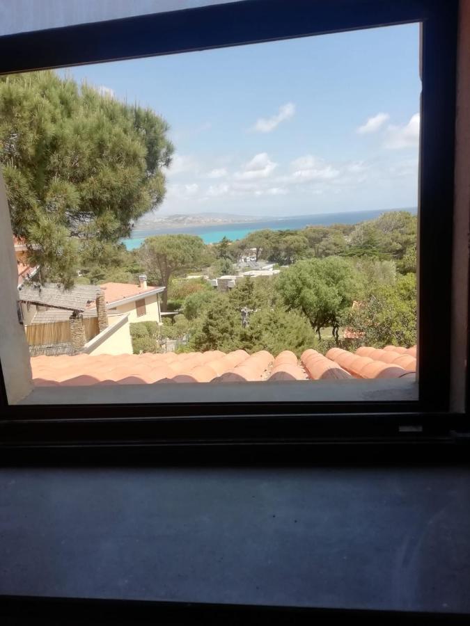Sa Domo De Afra Bed & Breakfast Stintino Exterior foto